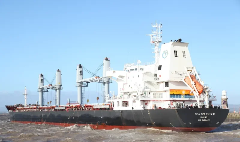 SEA DOLPHIN C Bulk Carrier IMO 9486427 photo 8