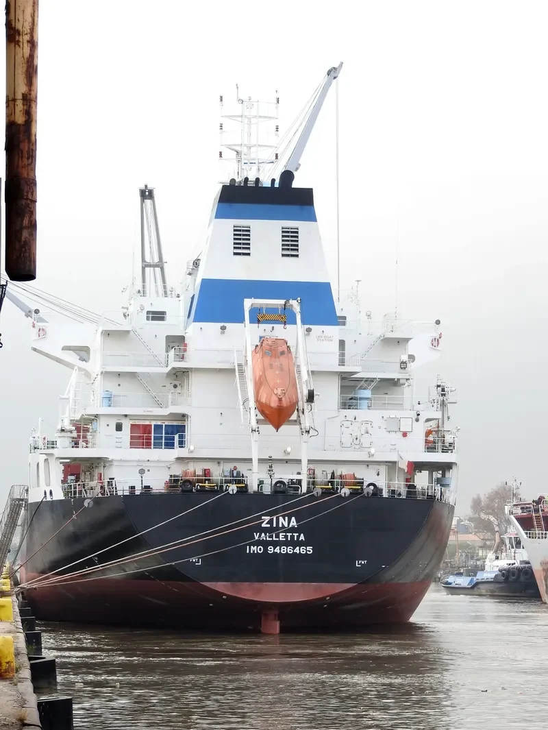 ZINA Bulk Carrier IMO 9486465