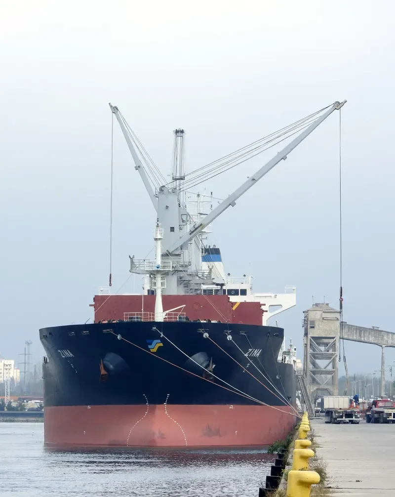 ZINA Bulk Carrier IMO 9486465 photo 2