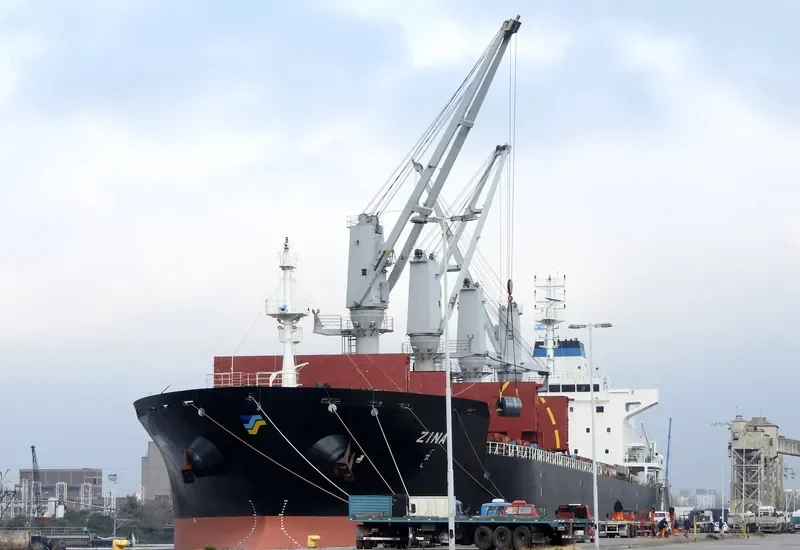 ZINA Bulk Carrier IMO 9486465 photo 3