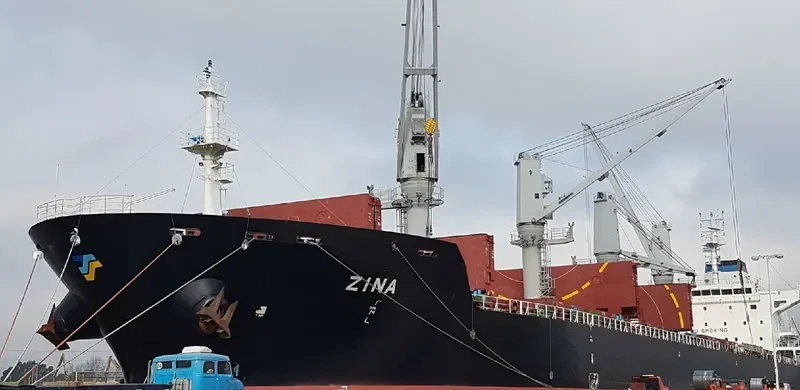 ZINA Bulk Carrier IMO 9486465 photo 4