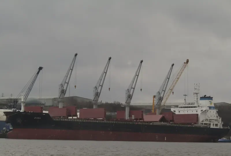 ZINA Bulk Carrier IMO 9486465 photo 5