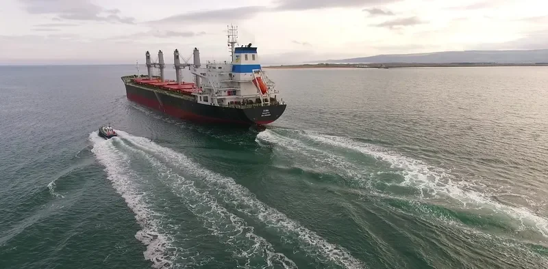 ZINA Bulk Carrier IMO 9486465 photo 7