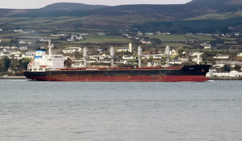ZINA Bulk Carrier IMO 9486465 photo 9