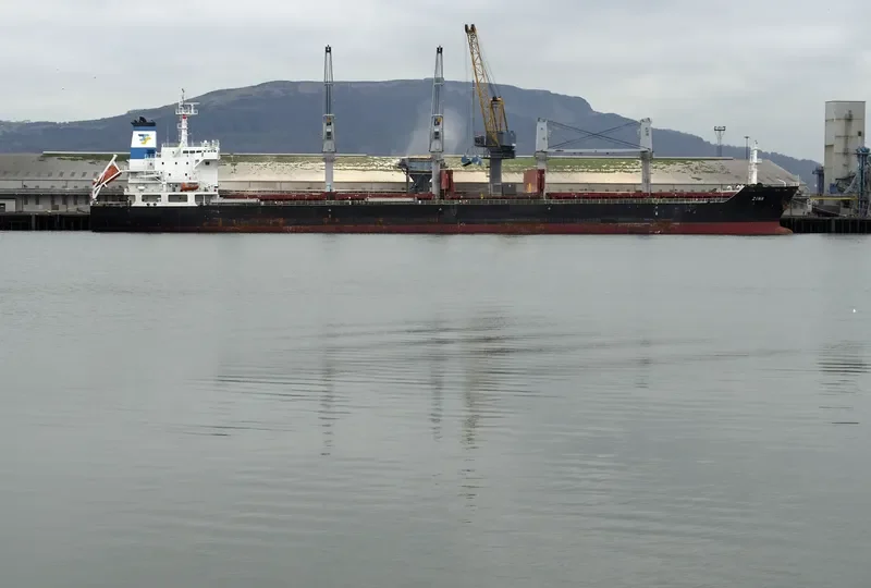 ZINA Bulk Carrier IMO 9486465 photo 10