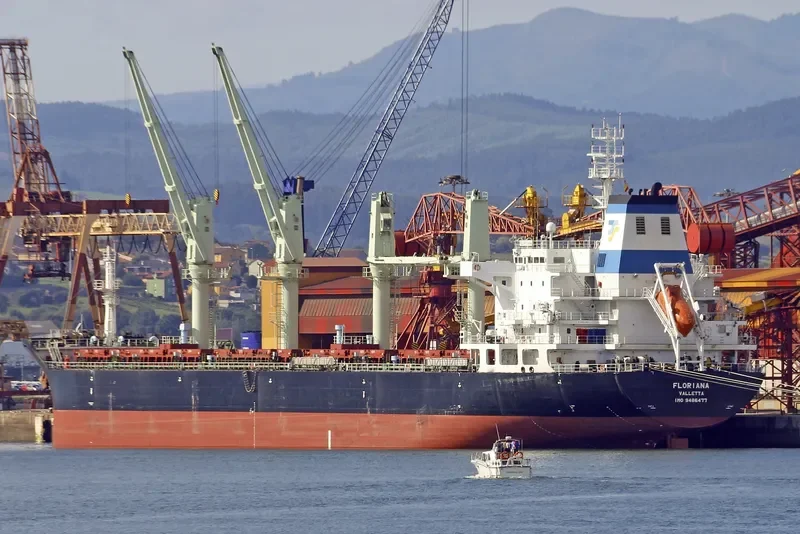 FLORIANA Bulk Carrier IMO 9486477