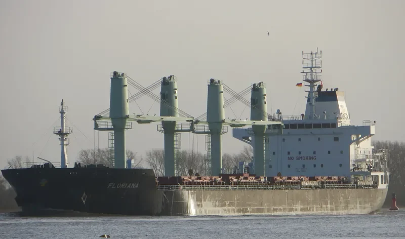 FLORIANA Bulk Carrier IMO 9486477 photo 3