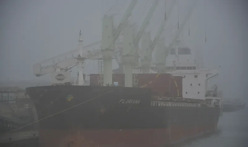 FLORIANA Bulk Carrier IMO 9486477 photo 10