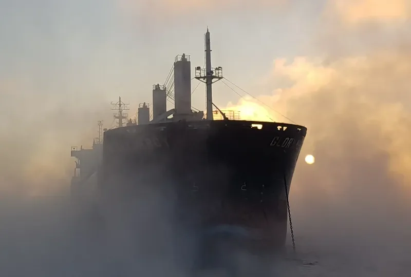 COMITY Bulk Carrier IMO 9486568 photo 5