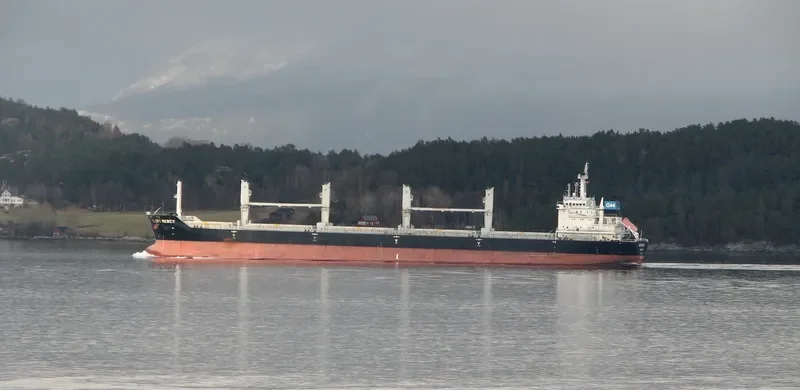 COMITY Bulk Carrier IMO 9486568 photo 7