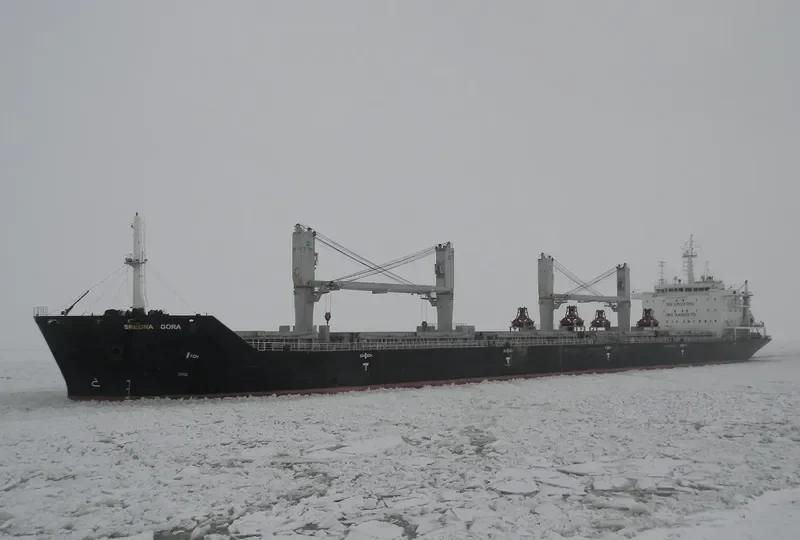 CLIPPER COMO Bulk Carrier IMO 9486570