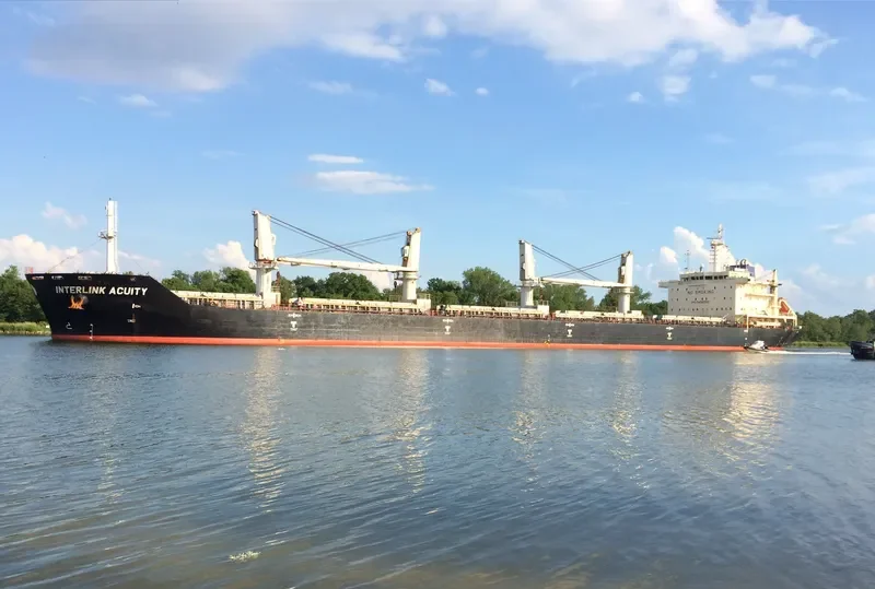 ACUITY Bulk Carrier IMO 9486582 photo 3