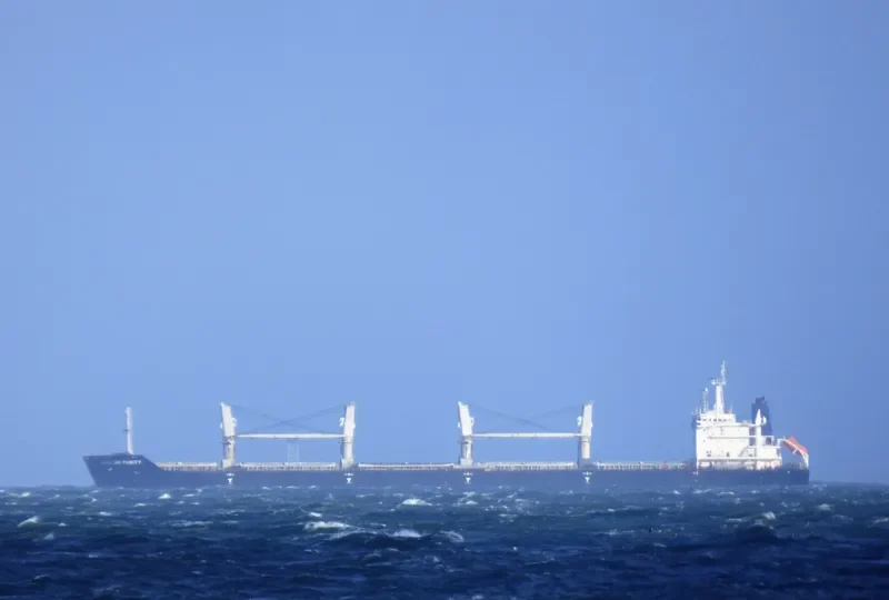 PARITY Bulk Carrier IMO 9486594