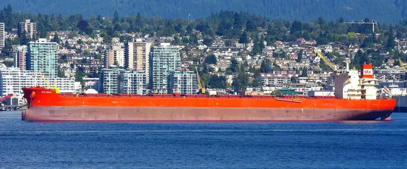 STAR OPHELIA Bulk Carrier IMO 9486726 photo 2