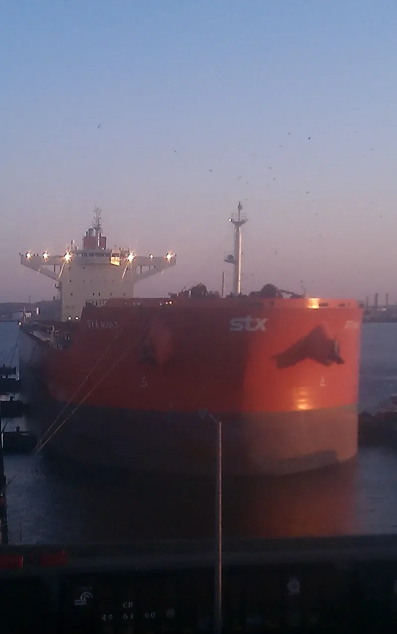 STAR OPHELIA Bulk Carrier IMO 9486726 photo 3