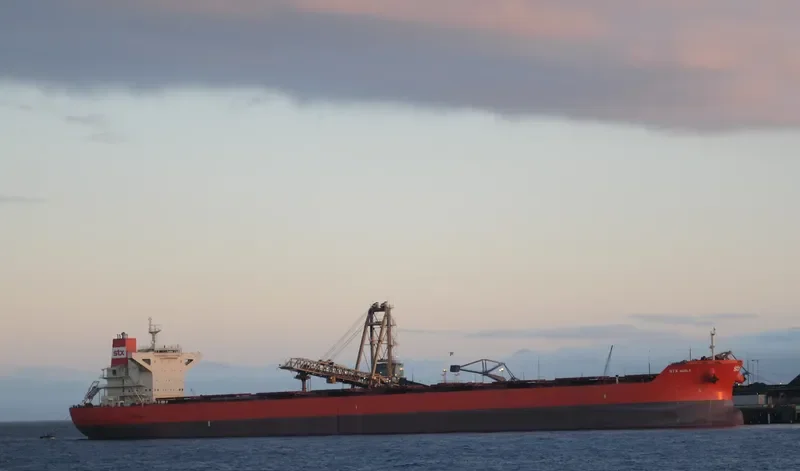 STAR OPHELIA Bulk Carrier IMO 9486726 photo 4