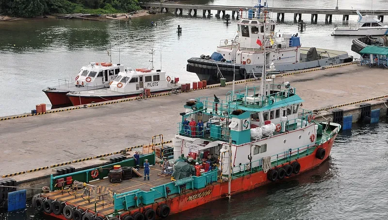 SK LINE 801 General Cargo IMO 9486776 photo 2