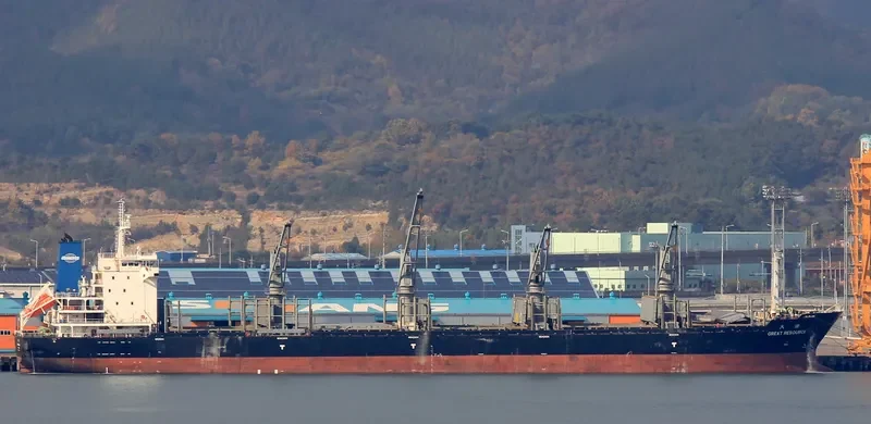 RESOURCE General Cargo IMO 9487031