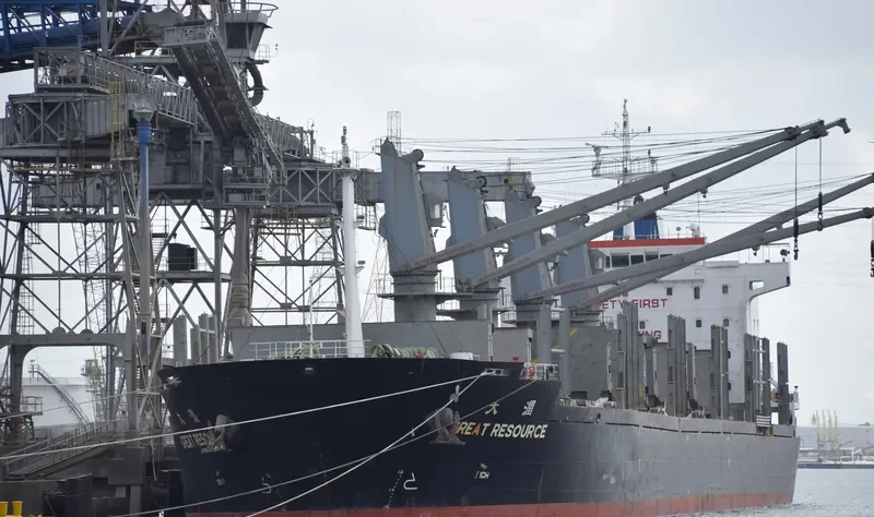 RESOURCE General Cargo IMO 9487031 photo 2