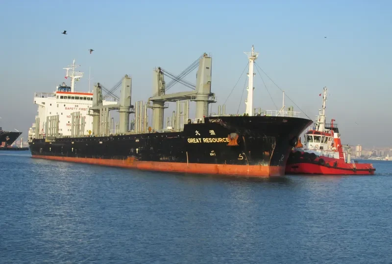 RESOURCE General Cargo IMO 9487031 photo 7