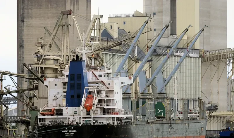 TRAWIND WHALE General Cargo IMO 9487067