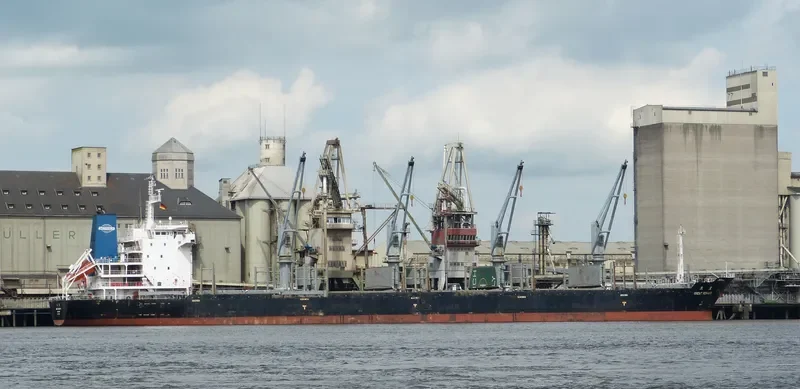 TRAWIND WHALE General Cargo IMO 9487067 photo 2