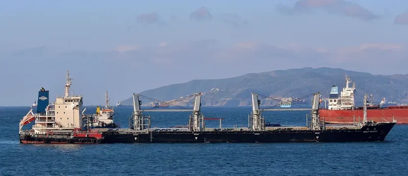 TRAWIND WHALE General Cargo IMO 9487067 photo 7