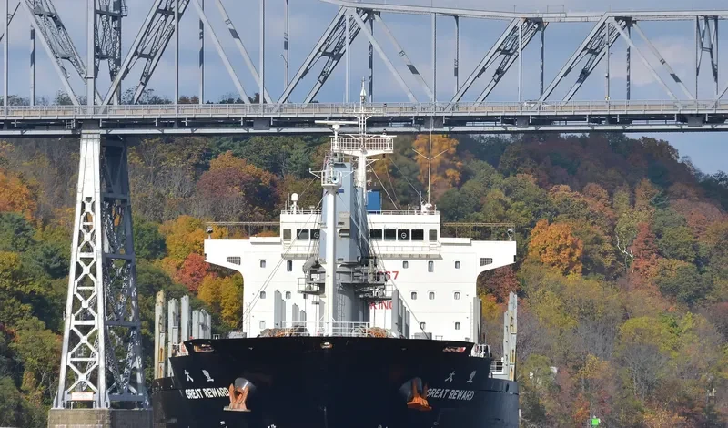 TRAWIND WHALE General Cargo IMO 9487067 photo 8