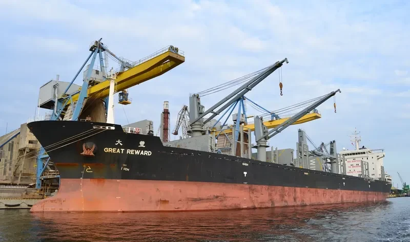 TRAWIND WHALE General Cargo IMO 9487067 photo 10