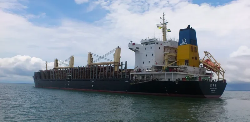 JIN GUANG LING Bulk Carrier IMO 9487079 photo 2