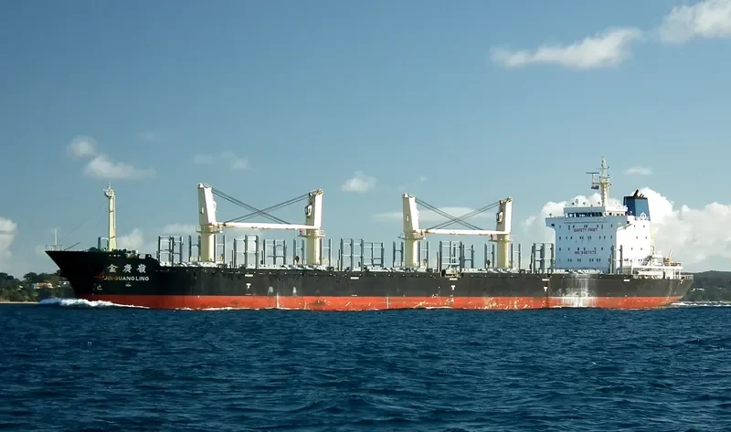 JIN GUANG LING Bulk Carrier IMO 9487079 photo 4
