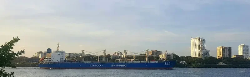 JIN YUAN LING Bulk Carrier IMO 9487081 photo 2