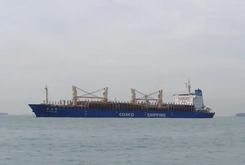 JIN YUAN LING Bulk Carrier IMO 9487081 photo 3