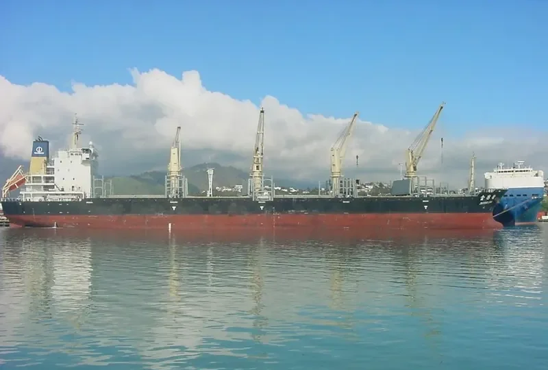 JIN XING LING Bulk Carrier IMO 9487093 photo 2