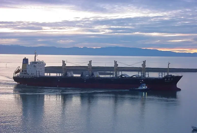 JIN XING LING Bulk Carrier IMO 9487093 photo 3