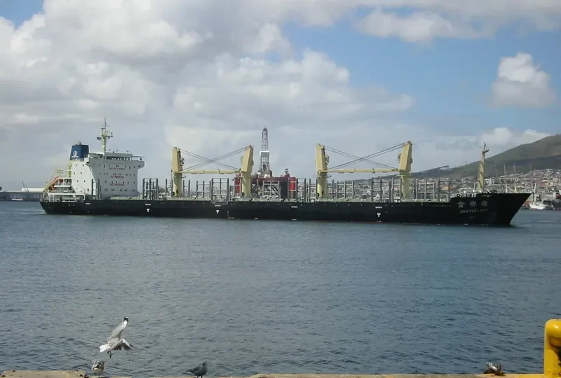 JIN XING LING Bulk Carrier IMO 9487093 photo 4