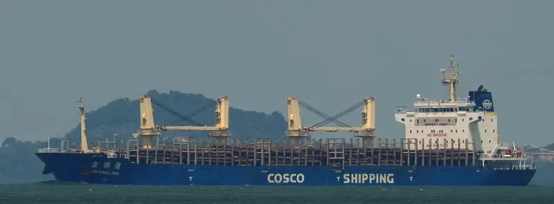 JIN XING LING Bulk Carrier IMO 9487093 photo 5