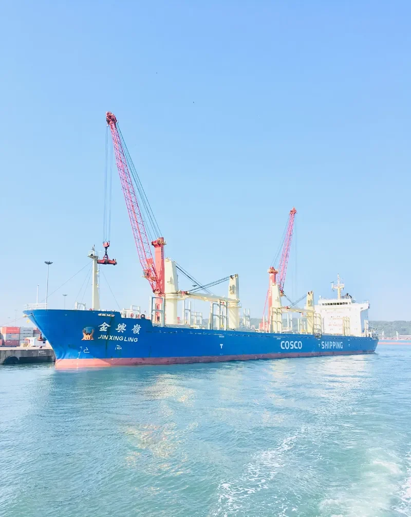 JIN XING LING Bulk Carrier IMO 9487093 photo 6