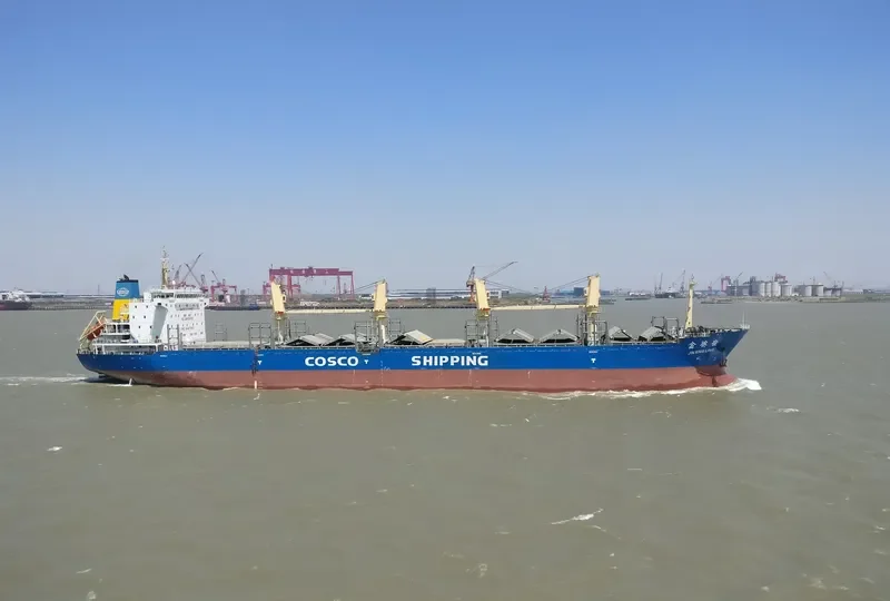 JIN XING LING Bulk Carrier IMO 9487093 photo 8