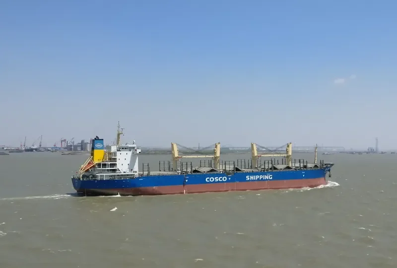 JIN XING LING Bulk Carrier IMO 9487093 photo 9