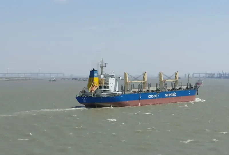 JIN XING LING Bulk Carrier IMO 9487093 photo 10