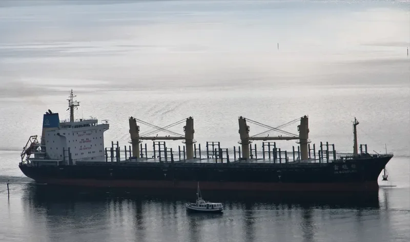 JIN WANG LING Bulk Carrier IMO 9487108