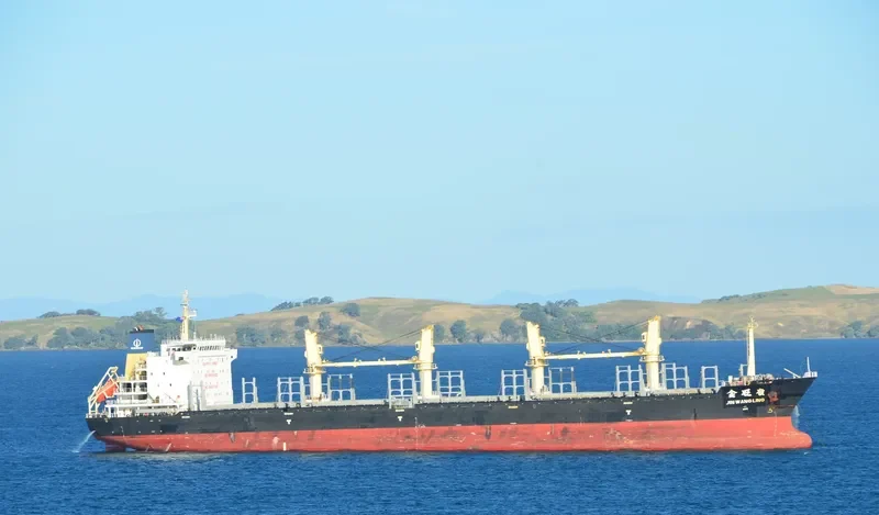 JIN WANG LING Bulk Carrier IMO 9487108 photo 4