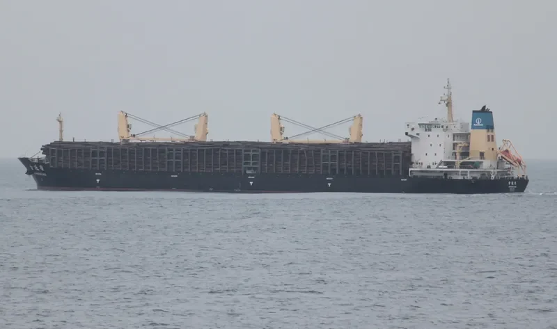JIN WANG LING Bulk Carrier IMO 9487108 photo 5