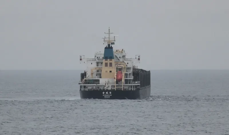 JIN WANG LING Bulk Carrier IMO 9487108 photo 6