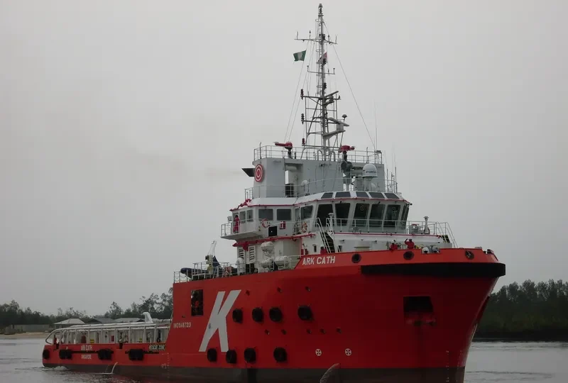 TAN CANG 89 Offshore Vessel IMO 9487201