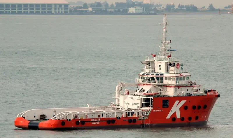 TAN CANG 89 Offshore Vessel IMO 9487201 photo 2