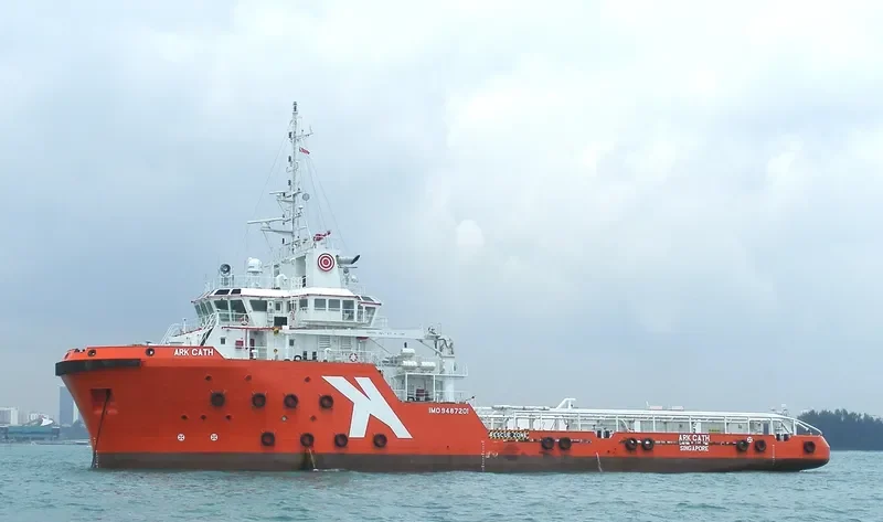 TAN CANG 89 Offshore Vessel IMO 9487201 photo 3