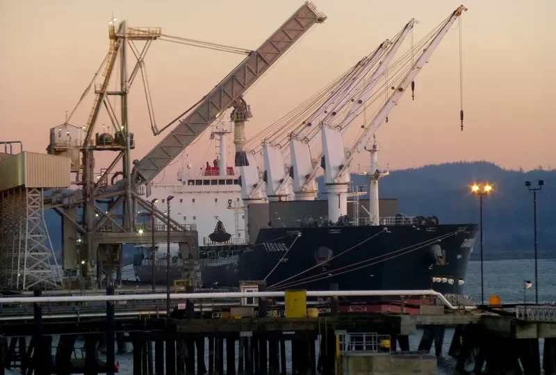HANNAH S Bulk Carrier IMO 9487213 photo 2