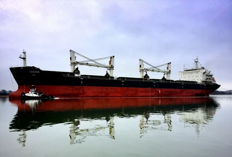 HANNAH S Bulk Carrier IMO 9487213 photo 3